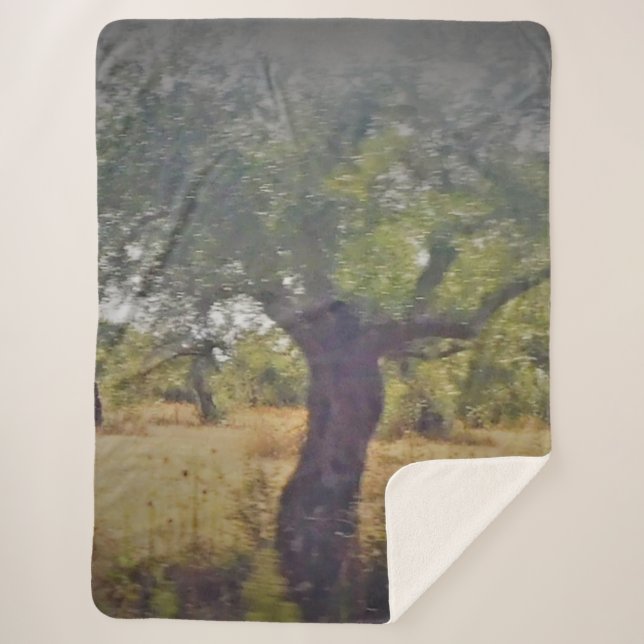 Sherpa Blanket ART AND DESIGN STYLE  (Front)