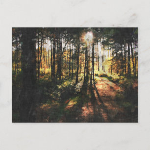Sherwood Forest Sunset Postcard