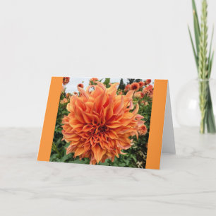 Sherwood's Peach Dahlia Card