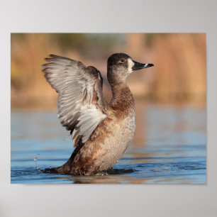 She's a Flapper Poster