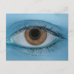 She's Always Watching Postcard