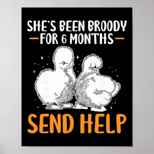 Shes Been Broody For 6 Months Send Help _1 Poster