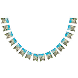 She's Cosmic Bunting