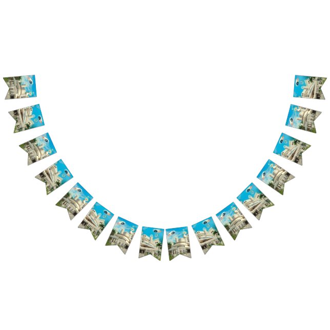 She's Cosmic Bunting (All)