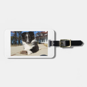 shet shp black and white puppy luggage tag