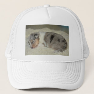 shet shp blue merle white tan puppy trucker hat