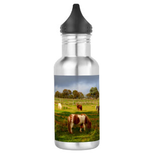 Shetland Ponies And Chestnut, 532 ml Water Bottle