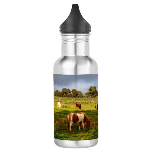 Shetland Ponies And Chestnut, 532 ml Water Bottle (Left)