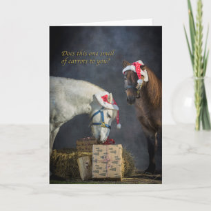 Shetland ponies at Christmas Holiday Card