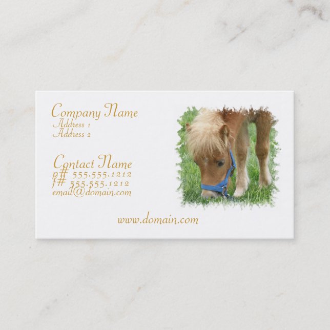 Shetland Pony Business Card (Front)