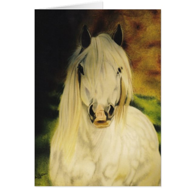 "Shetland Pony" equine card (Front)
