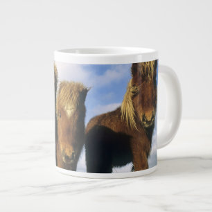 Shetland Pony, mainland Shetland Islands, Large Coffee Mug