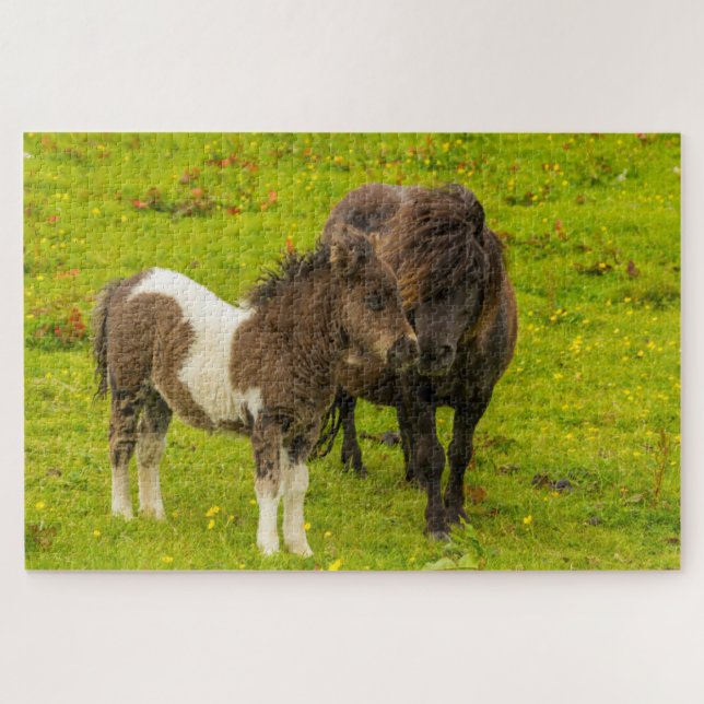 Shetland Pony Mother and Offspring Jigsaw Puzzle (Horizontal)