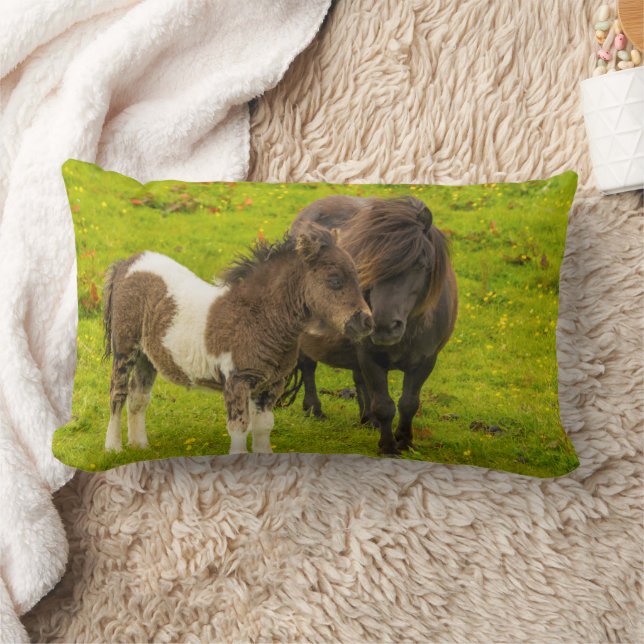 Shetland Pony Mother and Offspring Lumbar Cushion (Blanket)