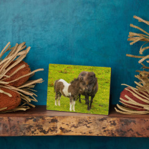 Shetland Pony Mother and Offspring Plaque