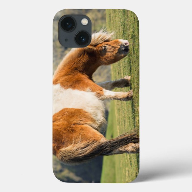 Shetland Pony On Pasture Near High Cliffs Case-Mate iPhone Case (Back)