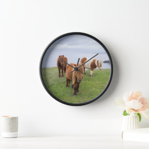 Shetland Pony on Pasture Near High Cliffs Clock