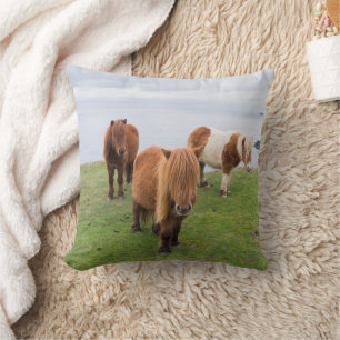 Shetland Pony on Pasture Near High Cliffs Cushion