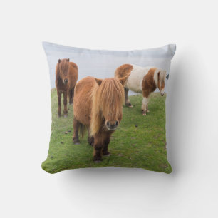 Shetland Pony on Pasture Near High Cliffs Cushion