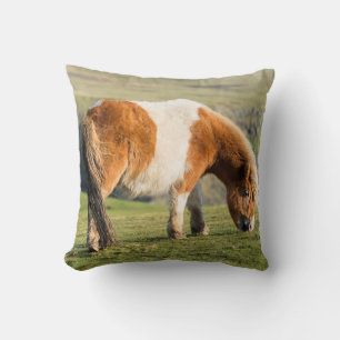 Shetland Pony On Pasture Near High Cliffs Cushion
