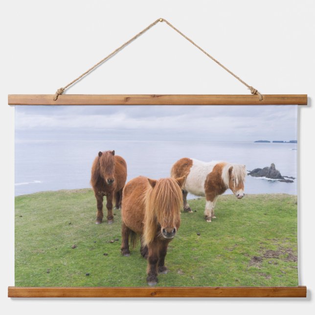 Shetland Pony on Pasture Near High Cliffs Hanging Tapestry (Front)