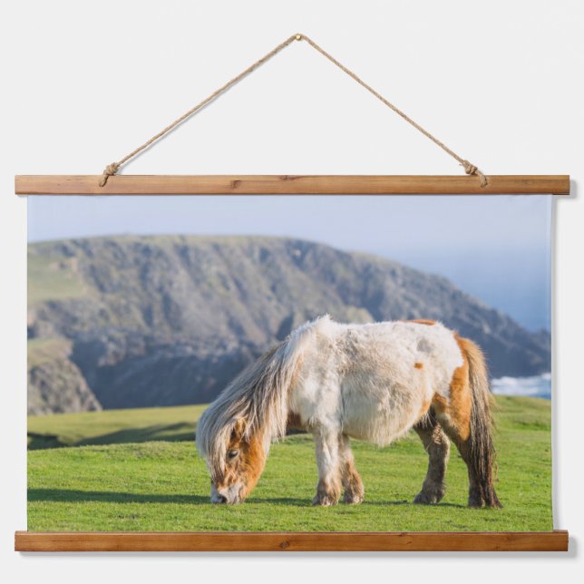 Shetland Pony on Pasture Near High Cliffs Hanging Tapestry (Front)