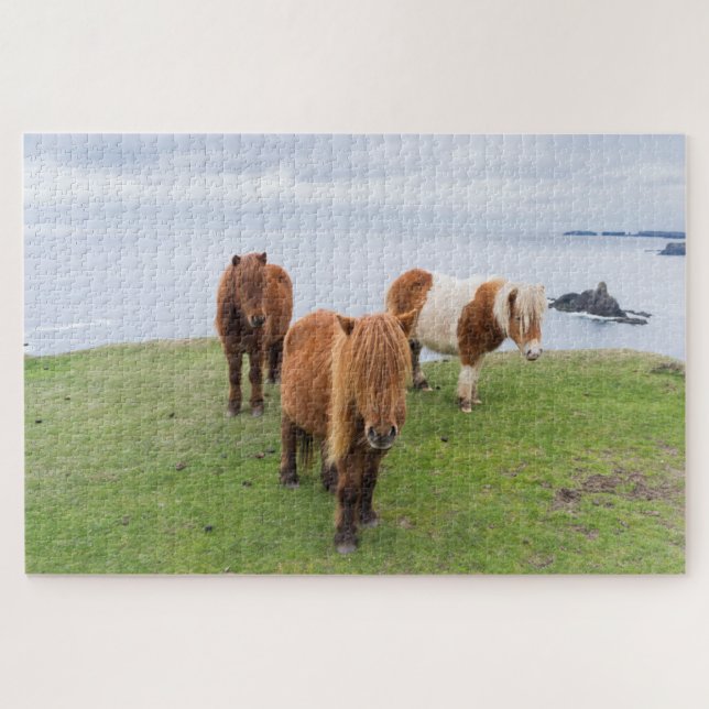 Shetland Pony on Pasture Near High Cliffs Jigsaw Puzzle (Horizontal)