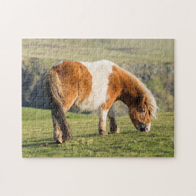 Shetland Pony On Pasture Near High Cliffs Jigsaw Puzzle (Horizontal)