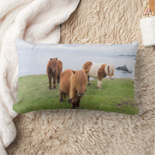 Shetland Pony on Pasture Near High Cliffs Lumbar Cushion