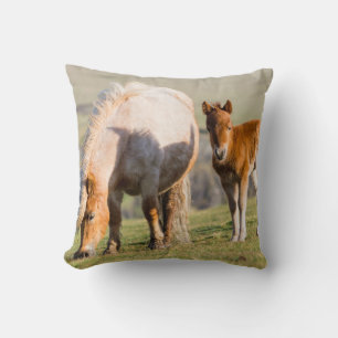 Shetland Pony On Pasture Near High Cliffs, Mare Cushion
