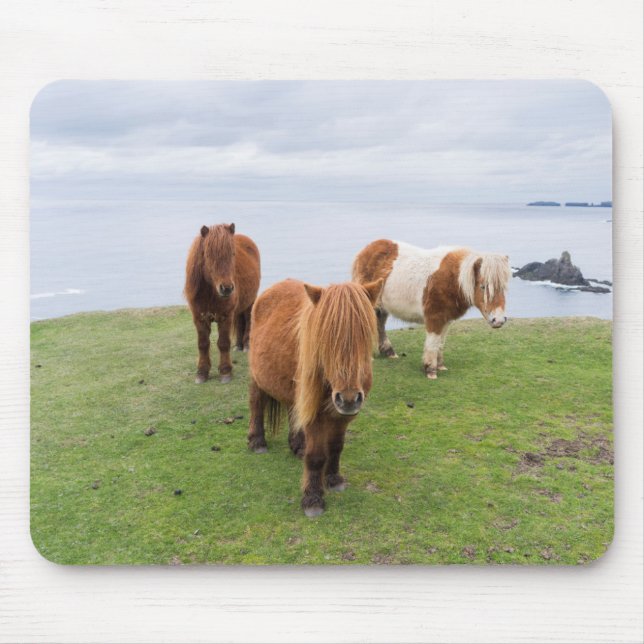 Shetland Pony on Pasture Near High Cliffs Mouse Pad (Front)
