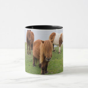 Shetland Pony on Pasture Near High Cliffs Mug