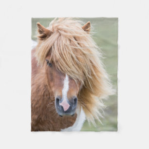 Shetland Pony on the Island of Unst Fleece Blanket