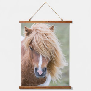 Shetland Pony on the Island of Unst Hanging Tapestry