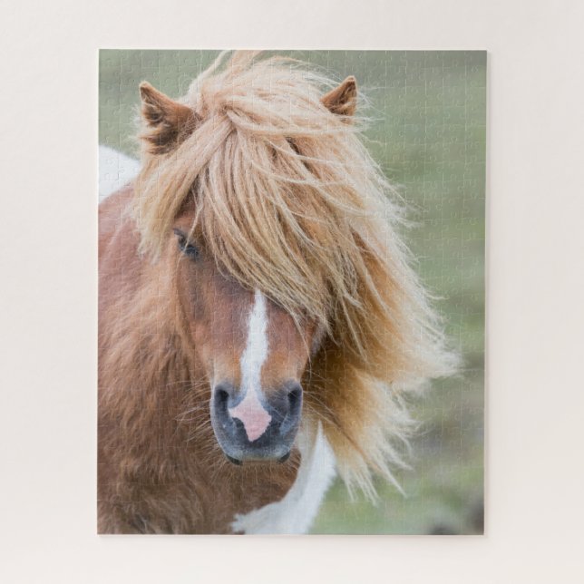 Shetland Pony on the Island of Unst Jigsaw Puzzle (Vertical)