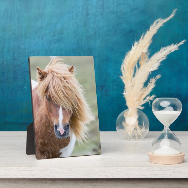 Shetland Pony on the Island of Unst Plaque (Side)