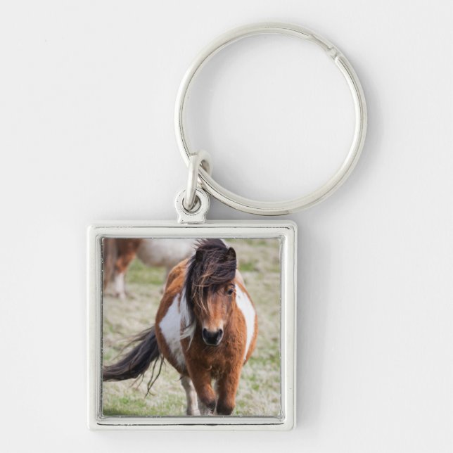 Shetland Pony, Shetland Islands Key Ring (Front)