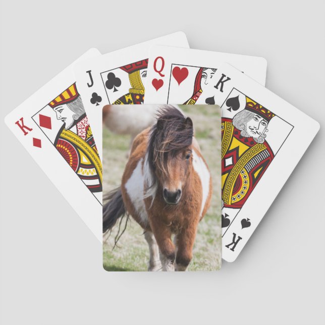 Shetland Pony, Shetland Islands Playing Cards (Back)