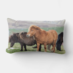 Shetland Pony, Shetland Islands, Scotland 2 Lumbar Cushion