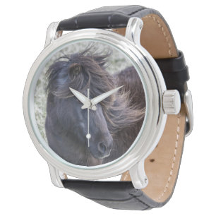 Shetland Pony Watch