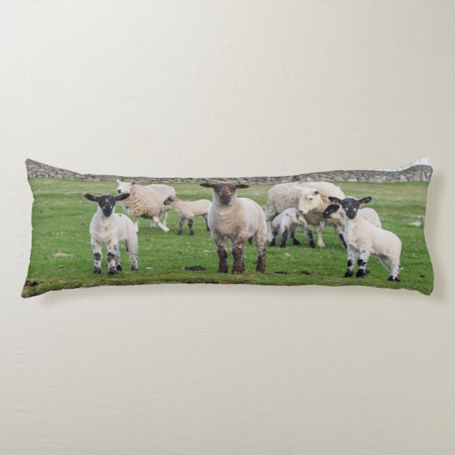 Shetland Sheep Body Cushion (Front)