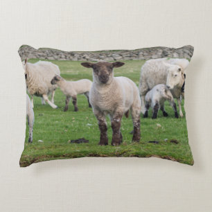 Shetland Sheep Decorative Cushion