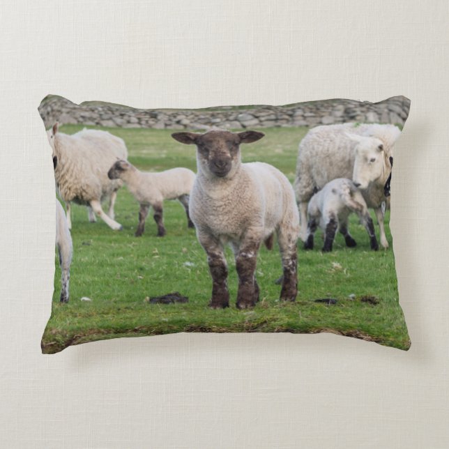 Shetland Sheep Decorative Cushion (Front)