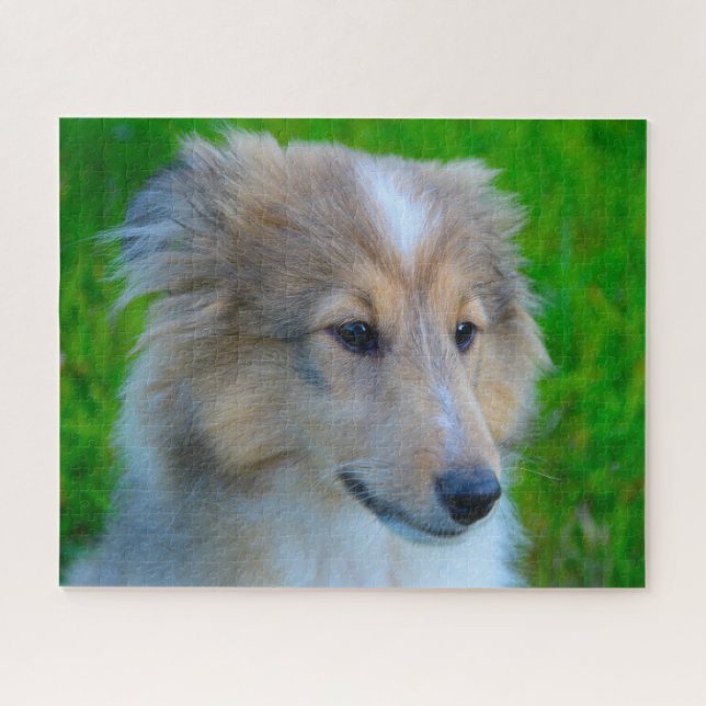 Shetland Sheep Dog Jigsaw. Jigsaw Puzzle (Horizontal)