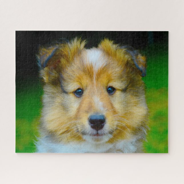 Shetland Sheep Dog Jigsaw. Jigsaw Puzzle (Horizontal)