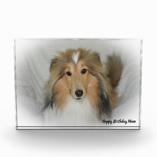 Shetland Sheep Dog Photo Block (Front)