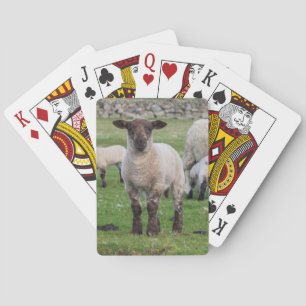 Shetland Sheep Playing Cards