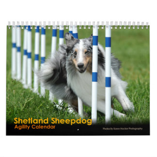 Shetland Sheepdog Agility Calendar