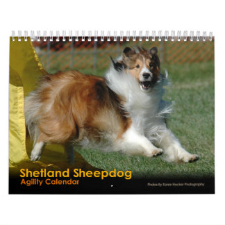 Shetland Sheepdog Agility Calendar