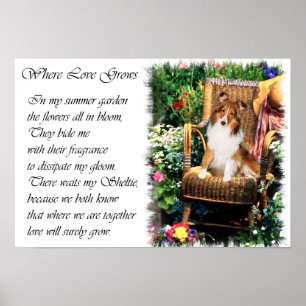 Shetland Sheepdog Art Gifts Poster